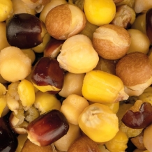 Nash Large Seed Mix 2,5 Liter