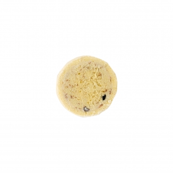 Pro Line Scopex Coated Hookbaits 